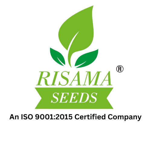 Risama Seeds