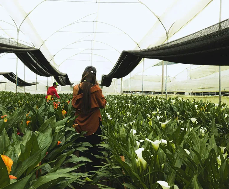 There are many variations of passages of Lorem Ipsum available, but majority have suffered teration in some form, by injected humour, or randomised words which don't look even slight believable. If you are going to use a passage of Lorem Ipsum.